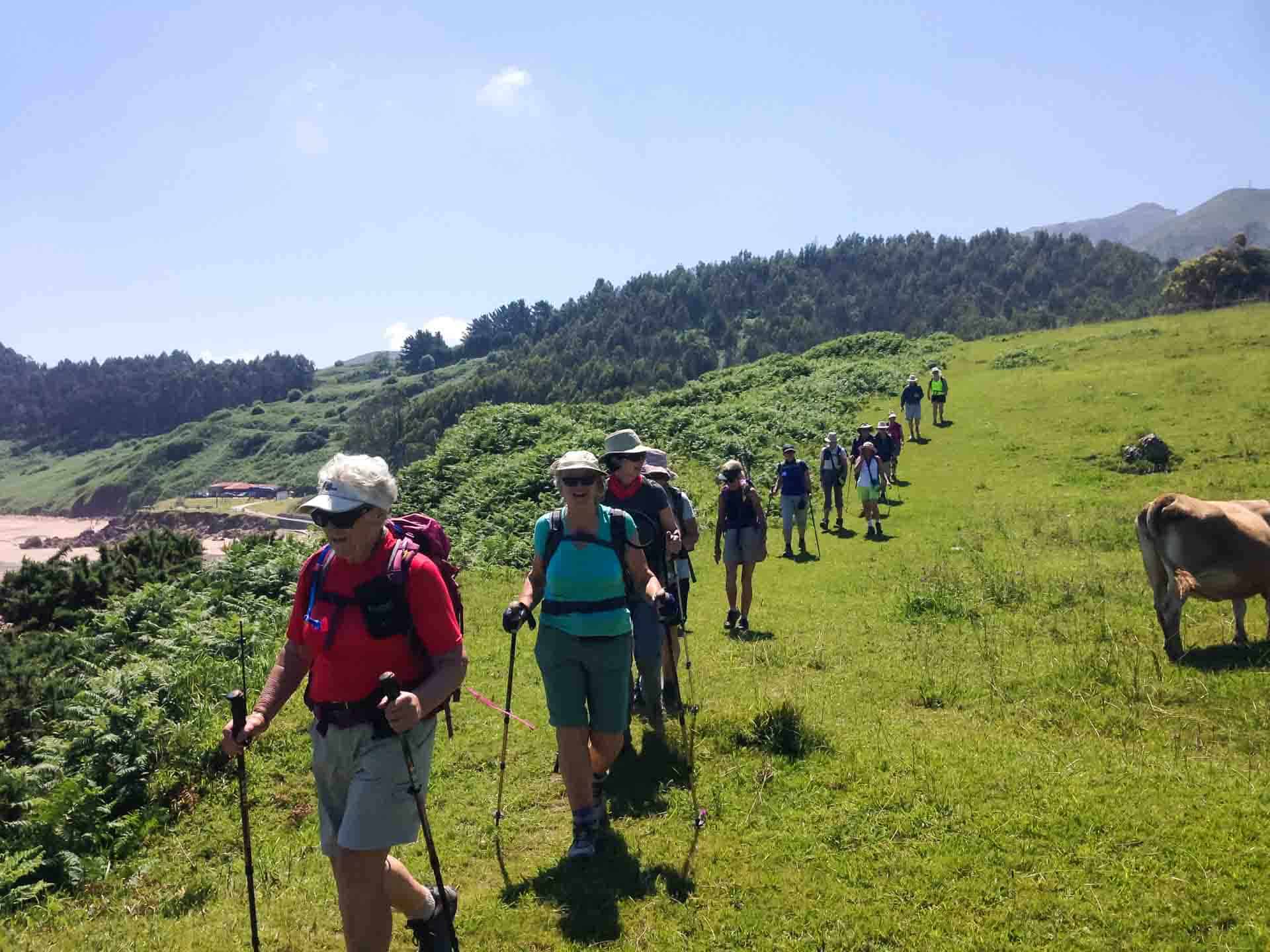 Private guided Camino tour