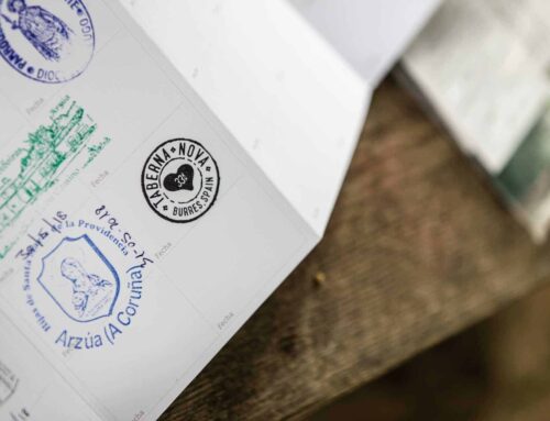 The Complete Guide to the Camino Portugués: Your Ultimate 10-Day Guided Walking Adventure from Portugal to Spain