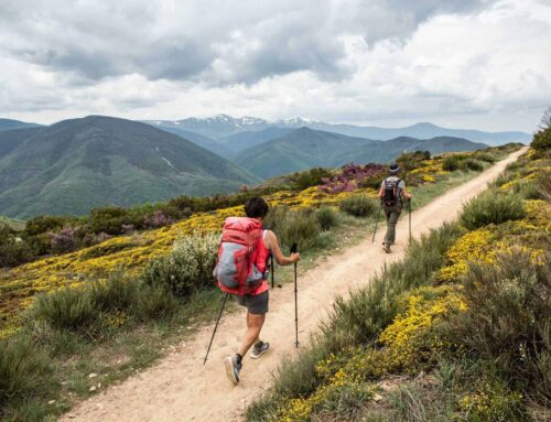 Embark on the Ultimate Pilgrimage: Every Inch of the Camino Francés