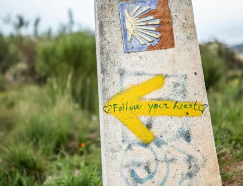 A Personalised Camino Experience.