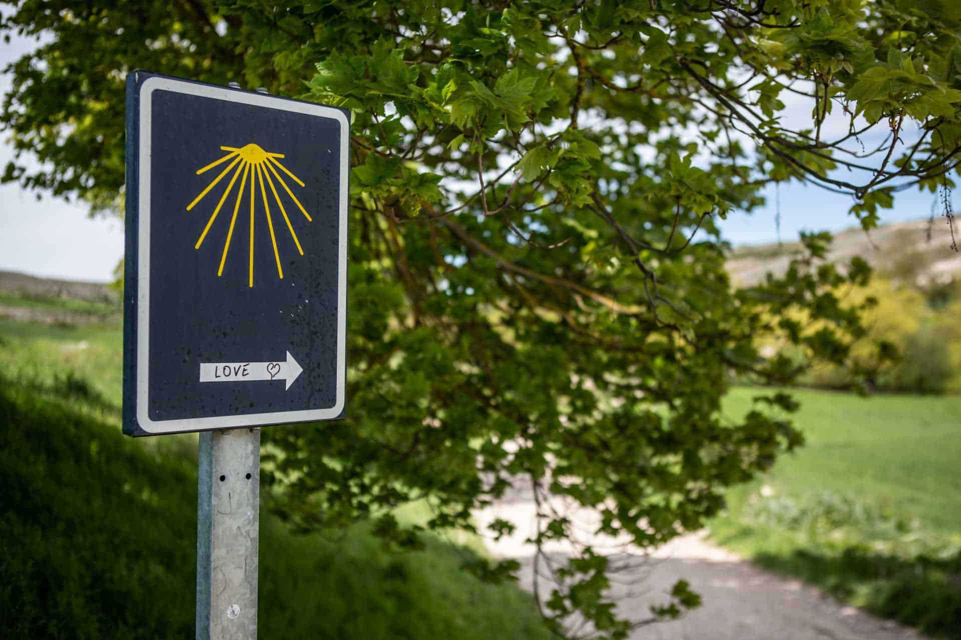 A blue waymarker sign bearing the yellow scallop shell symbol of the Camino de Santiago, with the word "LOVE" and a small heart handwritten above a pointing arrow, set against leafy tree branches and open green countryside.