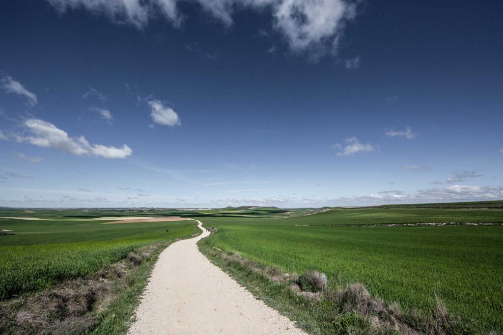 A pale gravel path winds through the vast, flat green fields of the Castilian Meseta, stretching towards the horizon under a wide blue sky with scattered clouds, with tiny figures of pilgrims just visible in the far distance.