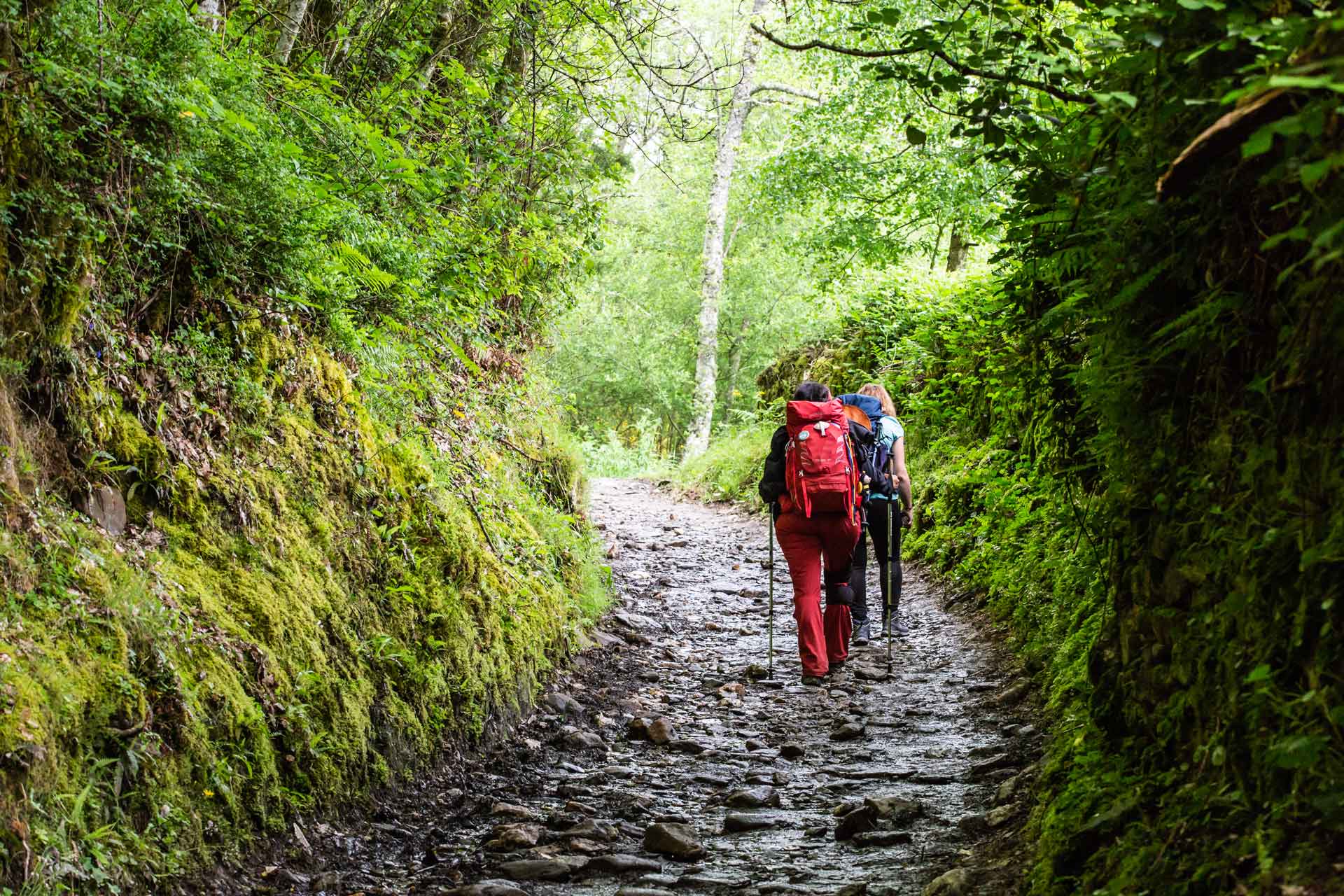 Two pilgrims with hiking poles and backpacks make their way along a rocky, moss-flanked path on Andaspain's Laid-back last 100km of the Camino Francés, surrounded by dense green woodland.